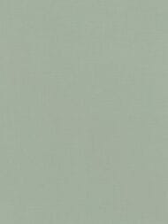 ���� ��������� �� ��������� Rasch Natural Colors (0,53�10,05) ��� �����, ������� 690743  (���.)