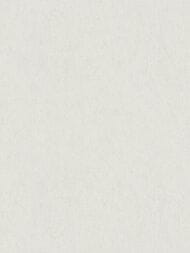 ���� ��������� �� ��������� Marburg Ritus 35422 (1,06�10,05) �����, ����� (���.)