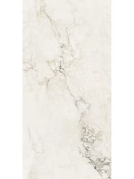 ��������������� ������ Staro Palacio Brecha Crema Polished (600�1200�8) ������, ������� (��.�.)