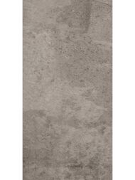 ��������������� ������ City Seed Grey EE03 (306�609) �����, �������������� (��.�.)