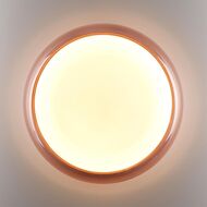 ��������-���������� ���������� Sonex Color Portman 7778/DLN, �����