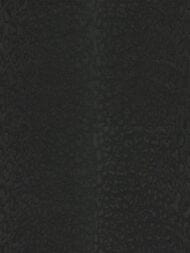 ���� ��������� �� ��������� ROBERTO CAVALLI  9 (1,06�10,05) ��������, ������ 21044 (���.)