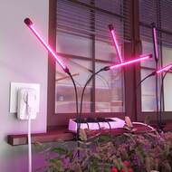 ����� ������� Wi-Fi Elektrostandard WF, �����