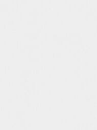     Marburg New Spirit 32728 (0,5310,05)  (.)