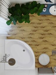   Triton  (15001500)  ,  - V81+CK60PF