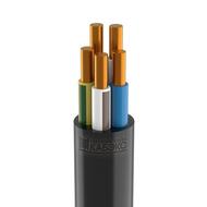 ������ ������� �����(�)-LS 5�6 ��(N, PE)-0,66 ������, ����� (100 ������) ���00070635