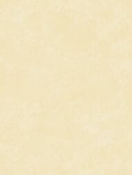 ���� ������������ Hygge Hg6 003 (1,00�10,05) ����������, ������� (���.)