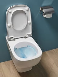 Унитаз подвесной Jacob Delafon STRUKTURA EDE102-00 (540х340) безободковый