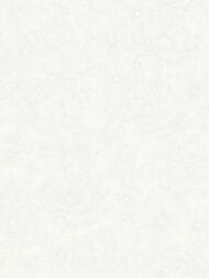 ���� ��������� �� ��������� Wall Up Bright Whisper (1.06x10.05) ������, ������� W197101 (���)