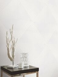 ���� ��������� �� ��������� Erismann Spotlight 2 ER12204-01 (1,06�10,05) ����� (���.)