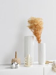 ���� ��������� �� ��������� Erismann Spotlight 2 ER12215-10 (1,06�10,05) ����� (���.)