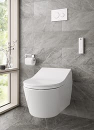 Унитаз подвесной TOTO RX Series (380x580x410) белый CW542EY