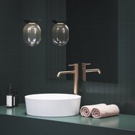 ��������� ��� ����������� RAVAK Espirit X070348 �������������, ����� 257 ��, ������� ������