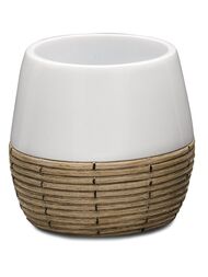  RIDDER Safari ,  , :  2151101