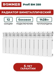 �������� ��������������� ROMMER Profi BM 350 12 ������, RBM-1210-035012