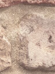 ���� ��������� �� ��������� Grandeco Wanderlust WL 2202 (0,53�10,05) �������, ������� (���.)