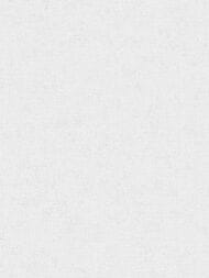 ���� ��������� �� ��������� Grandeco Artist (1,06�10,05) ���������, ����� R162013 (���.)