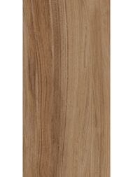  Lasselsberger  (300600)  , ,6260-0196-1001 (..)