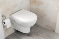 Унитаз подвесной Vitra Zentrum 355х500х400 без сиденья,антибакт.покр.,горизонт. выпуск 5795B003-0075