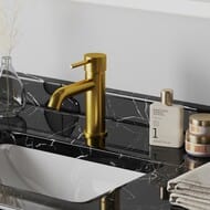    Paini Cox ,  ,   78PJ205O