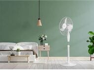 ���������� ��������� Ballu BFF-806 �� 20 �2, 3 ��������, �����