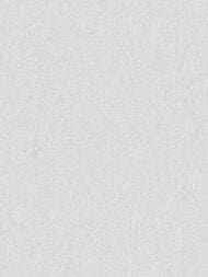 ���� ��������� �� ��������� Wiganford Milenium II (1,06�10,05) ����������, ����� AK3260 (���.)