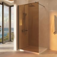 ������� ����������� Vincea Walk in 900x2000 VSW-1H900GSGM   ��������� �����