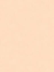 ���� ������������ Artsimple Valley (1,0�10,05), ������� ARTS13 001/4  (���.)