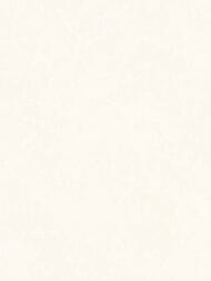 ���� ��������� �� ��������� Grandeco Artist (1,06�10,05) ���������, ������� R173002 (���.)