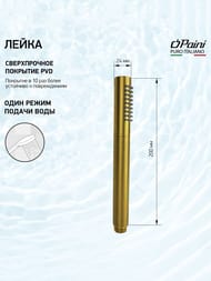 ����� ��� ���� Paini ������ ������������� 53PJ155TT