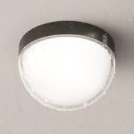 ���������� ���������� Maytoni Mon (���) O438CL-L12GF3K, 3000K 12�� IP 65, ������