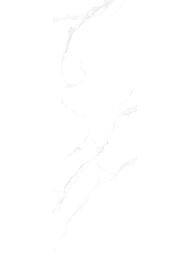 ������ ��������� Alma Ceramica Amarant (300x900) ����� TWU3090AMT07R (��.�)