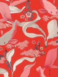     Rasch Amazing (0,5310,05) ,  539844 (.)