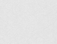 ���� ��� �������� Marburg Patent Decor 9857 (0,53�10,05) ����������, 165 ��/�2 (���.)