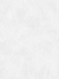 ���� ��������� �� ��������� ������ ������ (1,06�10,05) ������-����� AR11199-03 (���)