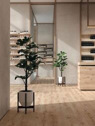 ��������������� ������ Atlas Concorde Exence Vanilla (200�1200) ������-�������, AO47 (��.�.)