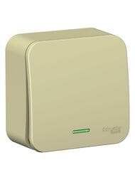 ����������� Systeme Electric BLANCA ����.���. 1-��������� c�.1 � �����. 10� 250B ������� BLNVA101117