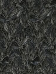 ���� ��������� �� ��������� ROBERTO CAVALLI  9 (1,06�10,05) �����, ������ 21001 (���.)
