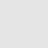 ���� ��� �������� Marburg Patent Decor 9312 (1,06�25) ������ (���.)