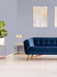 ���� ������������ Hygge 77 Colors C8 02 (1,00�10,05) ���������� (���.)