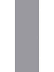 ��������������� ������ Staro Slab GREY Polished (800�2400�15) ���������, ����� (��.)
