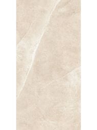 ��������������� ������ Alma Ceramica Basalto (600x1200) ������� GFU60120BST04R (��.�)