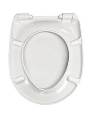 Сиденье с крышкой с микролифтом для унитаза Ideal Standard AREAL белое W302301