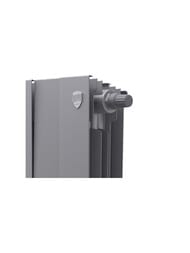 �������� ���������������, 10 ������ ROYAL THERMO PianoForte Silver Satin ������ �����