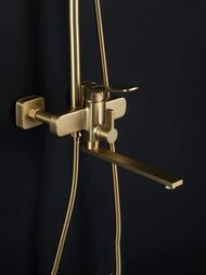 ������� ������� � ���������� �������, ������ � ������� ����� , FRAP ����� �������, F2461-3