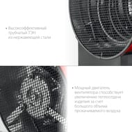 �������� ����� ���� �������������, 4.8 ���,  ��-5