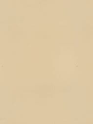     Solo Feerie (1,0610,00) ,  3504-17 (.)