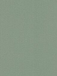 ���� ��������� �� ��������� Rasch Natural Colors (0,53�10,05) �������, ��� ����� 555936 (���.)