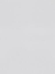 ���� ��������� �� ��������� Erismann Spotlight 2 ER12215-10 (1,06�10,05) ����� (���.)