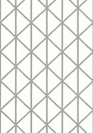 ���� �������� Thibaut Tropics (0,69�8,22) ������� T10134 (�����)